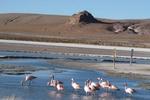 Los Flamencos Hotel Ecologico - Image 2