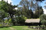 Hacienda San Jose - Image 4