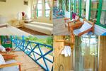 Wind's Guesthouse - Image 5