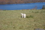 Tullaleagan Guesthouse - Image 8