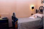 Bed and Breakfast New Day - Image 3