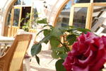 Photos of Elifstar Cave Hotel