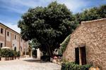 Son Siurana Agroturismo