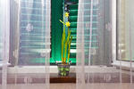 Apartment Zrinka - Image 4