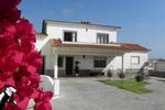 Lemon Tree Hostel
