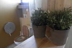 Lemon Tree Hostel - Image 8