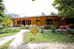 Nosara Beach Hostel