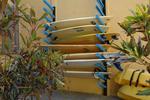 Nosara Beach Hostel - Image 8