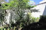 Princesa Maria - Image 8