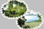 Pension Te Miti, Tahiti