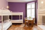 Blooms Boutique Hostel & Apartments - Image 4