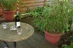 Garden in the City - Image 4