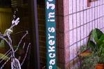 Backpackers in Jeju City Center - Image 8