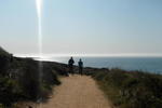 Home @ Bells Beach - Image 5