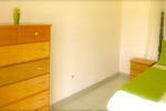 The Bird's Nest - Image 5
