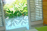 The Bird's Nest - Image 7