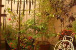Hostel La Colombina - Image 6