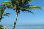 Photos of Bedarra Beach Inn