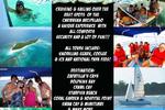 Mar e Iguana Hostel - Image 2