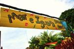 Mar e Iguana Hostel - Image 7