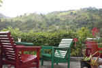 Prince Valley Guesthouse - Image 2