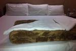 Hotel Payal - Image 4