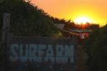Surfarm