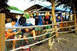 Surfarm - Image 3