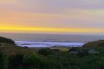 Surfarm - Image 5