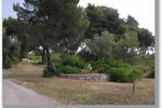 Masseria Capocanale - Image 6