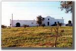 Masseria Capocanale - Image 9