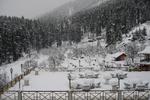 Snow Valley Resorts Manali - Image 3