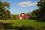D Acres Organic Farm and Homestead - Image 3
