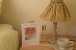 Clifden Bay Lodge - Image 5