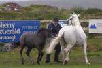 Clifden Bay Lodge - Image 10