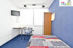 Lino Family House - Image 5