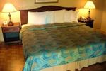 Carefree Inn Houston Medical Center - Image 5
