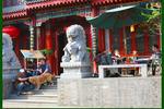 Shuyuan International Party Hostel - Image 1