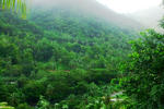 Serenity Lodges Dominica - Image 2