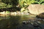 Serenity Lodges Dominica - Image 4