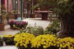 Nanjing Time Youth Hostel - Image 5