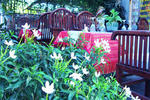 Tom & Jerry Hostel - Image 9