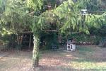 Photos of Fausto & Deby B&B