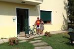 Photos of Fausto & Deby B&B