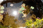 Shri Krishna Jungle Resort - Image 8