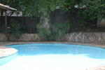 La Pinta Boogaloo (old Green Saman) - Image 7