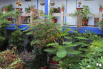 Photos of Suitel 522 Eco Hostel