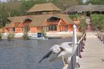 Keur Saloum-Toubacouta - Image 2