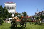 Decebal - Bacau