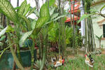 Photos of Jasmine Garden Villa